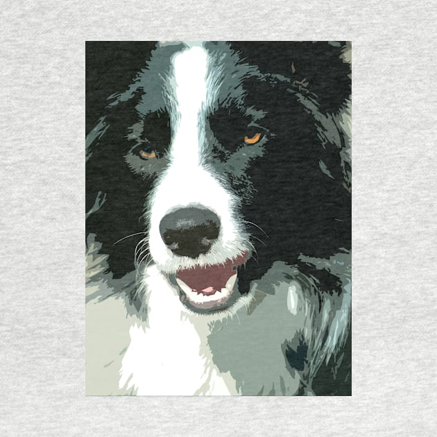 Border Collie Dog by Furtographic